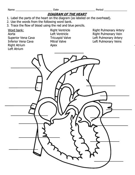 Label The Heart Worksheet Pdf