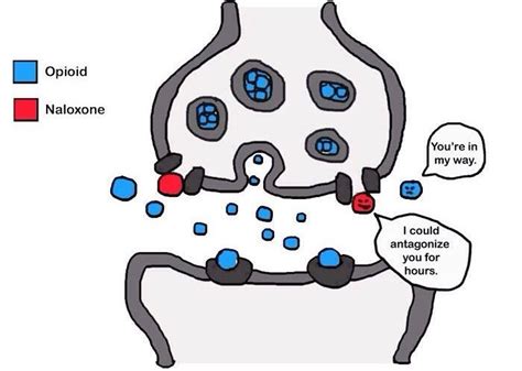 Pharmacy Student Memes