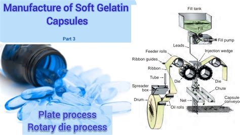 Plate process, Rotary die process of manufacture of soft gelatin capsules, softgel capsule ...