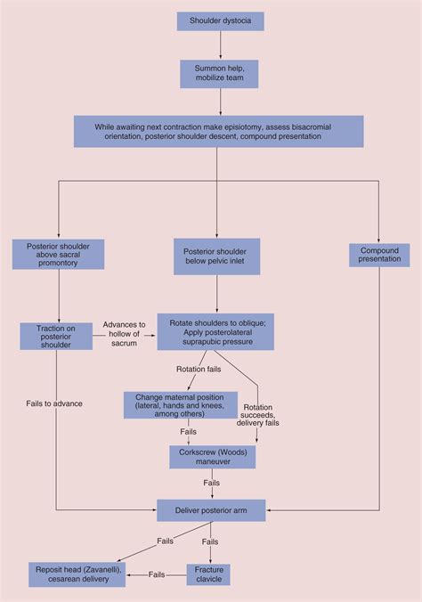 Shoulder Dystocia Ncp