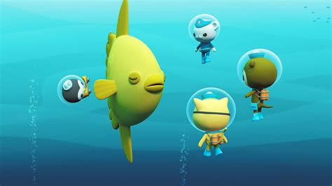 BBC iPlayer - Octonauts - Series 4: 14. Octonauts and the Sunfish