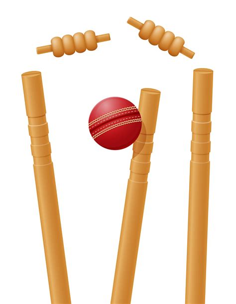 cricket ball caught in the wicket vector illustration 492982 Vector Art ...