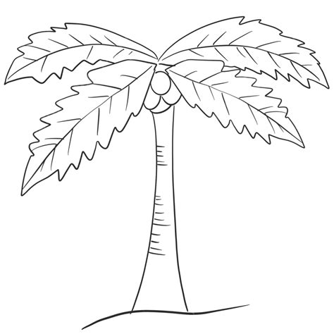 Coconut Tree Simple Strokes, Tree Drawing, Nut Drawing, Tree Sketch PNG ...