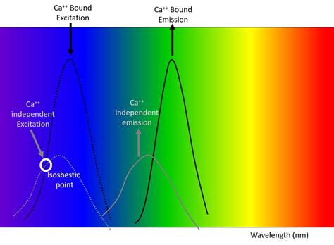 What is an Isosbestic Control and Why Do You Need it In Fiber Photometry? - Plexon