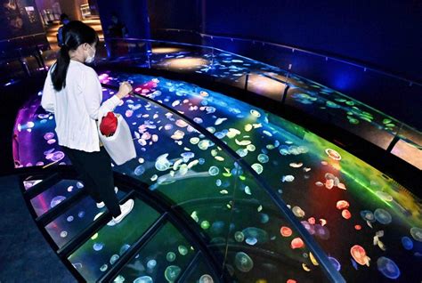 Kyoto Aquarium | JAPAN Forward