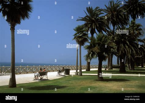 Pacific Palisades Park, Santa Monica, Los Angeles, California Stock ...