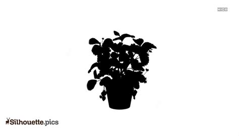 Plant Vase Silhouette Vector, Clipart Images, Pictures
