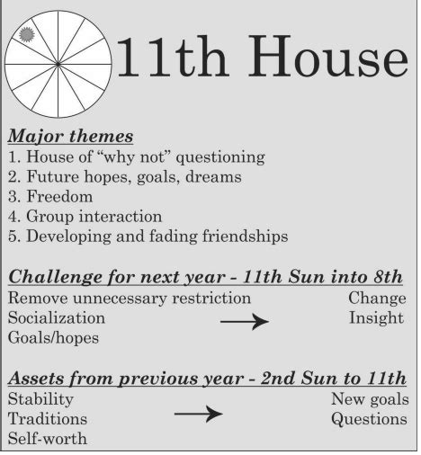 The SUN in 11TH House of yearly Solar Return Chart