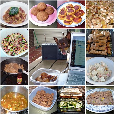 How Can I Make Dog Food At Home Outlet | centralcountiesservices.org