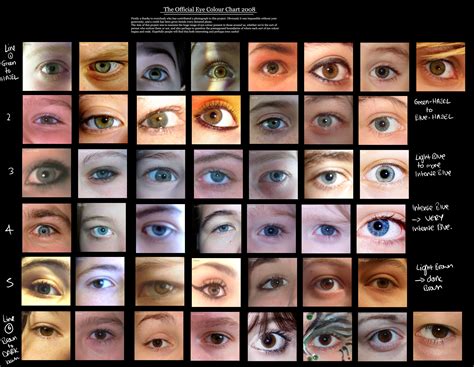 Human Eye coloUr chart by Delpigeon – The Eye Si(gh)t