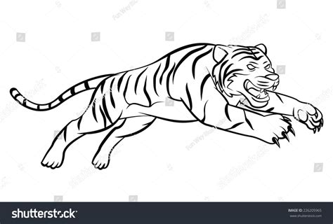 Tiger Attack Stock Vector Illustration 226205965 : Shutterstock