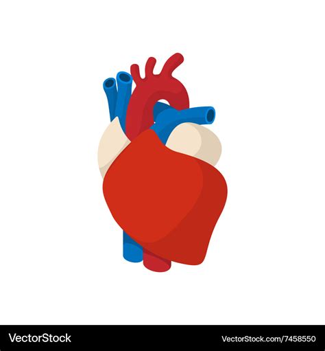 Human heart cartoon icon Royalty Free Vector Image