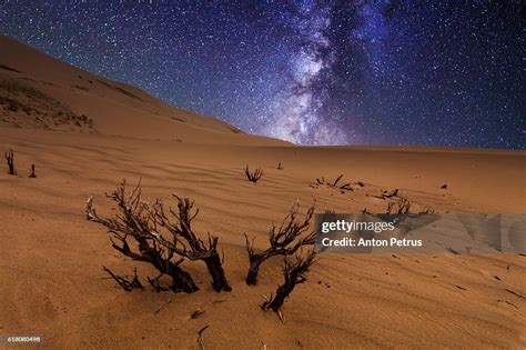 Starry Night In The Desert High-Res Stock Photo - Getty Images