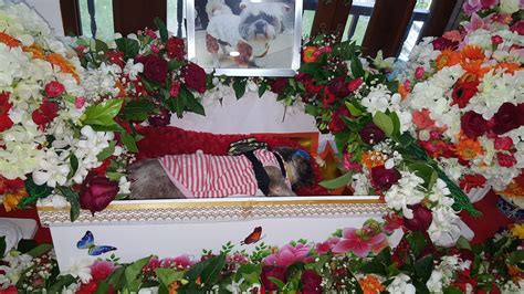 Pet Funeral Services Near Me : Pet Funeral High Resolution Stock Photography And Images Alamy ...