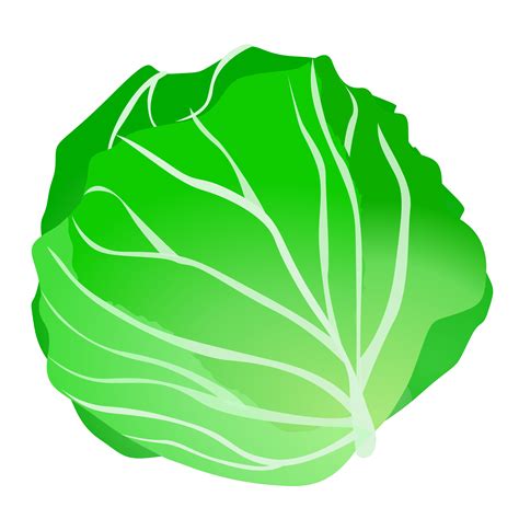 Lettuce clip art clipartall free clipart - Clipartix