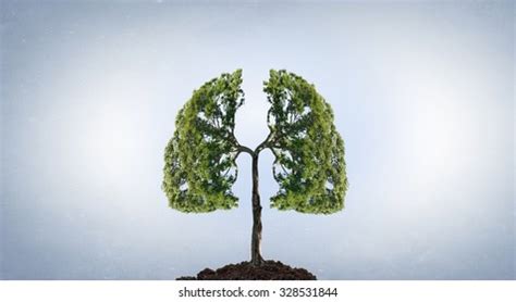 12,598 Lungs Tree Images, Stock Photos, 3D objects, & Vectors | Shutterstock