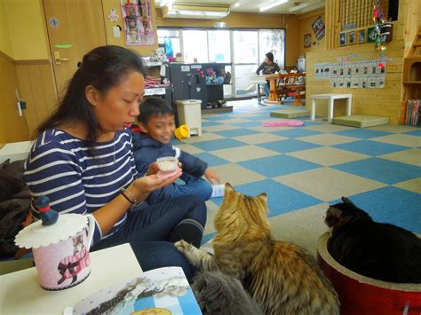 Adventures of a Supermom...: Cat Cafe, Osaka