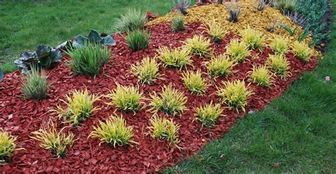 Best Landscape: Mulch and Ground Covers - Harpers Ferry KOA