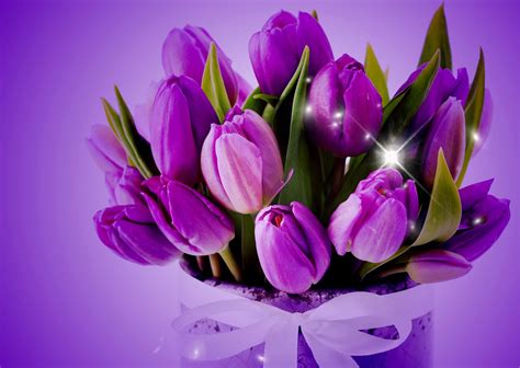 Download Purple Flower Purple Ribbon Sparkles Tulip Man Made Flower HD Wallpaper