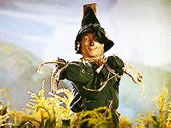 Scarecrow GIFs - Get the best GIF on GIPHY