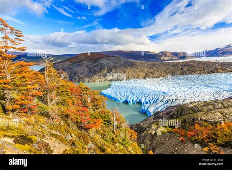 Torres Del Paine National Park, Chile. Grey glacier Stock Photo - Alamy