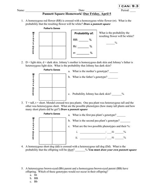 punnett square worksheet 1 key