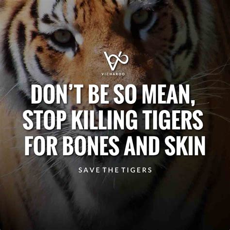 Don't be so mean, stop killing tigers for bones and skin | Save Tigers ...