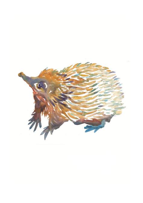 Echidna Size 8x10 in Watercolor Painting Art Print | Etsy | Paintings ...