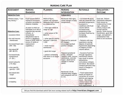 30 Nursing Care Plan | Example Document Template