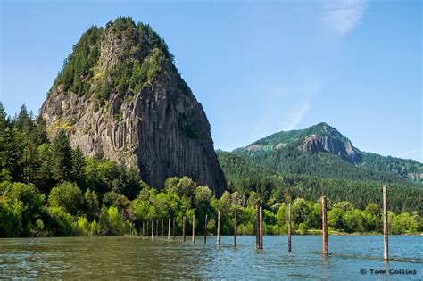 Tom Collins' Photo Journal: Beacon Rock 25k and 50k Uphill Run, Beacon Rock State Park, Washington