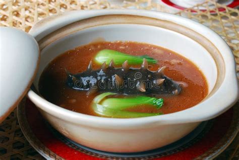 Sea slug soup stock image. Image of holothurian, pumpkin - 28654605