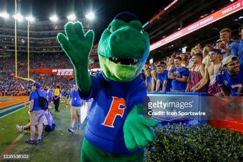 Florida Gators Mascot Photos and Premium High Res Pictures - Getty Images