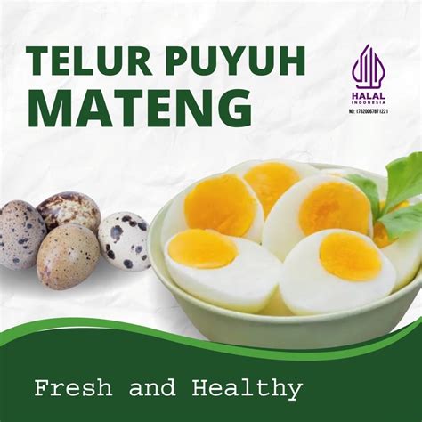 Jual Telur Puyuh Rebus Matang Segar Fresh Isi 30 Biji | Shopee Indonesia