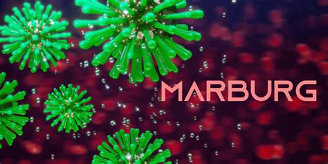 Marburg Virus: Overview, Signs & Symptoms, Causes & Treatment