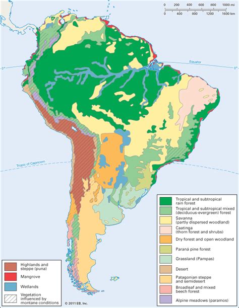 South America Vegetation Map - Cities And Towns Map