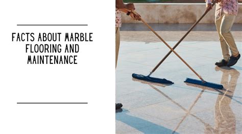 Facts About Marble Flooring and Maintenance - Ko-fi ️ Where creators ...