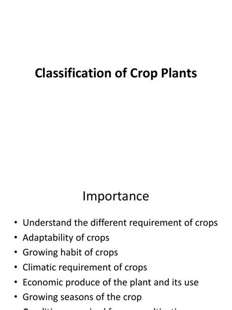 Classification of Crop Plants | PDF | Staple Foods | Cereals