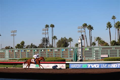 Los Alamitos Race Course placed on 10-day probation after horse ...