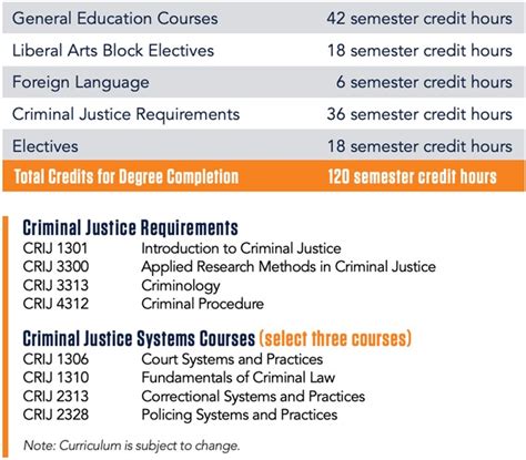 Criminal Justice Students’ Guide: Types of Degrees and Requirements