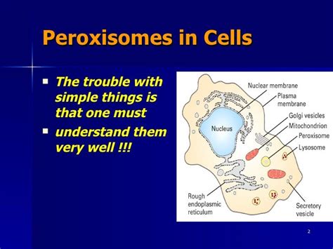 Peroxisomes in dermatology.ppt