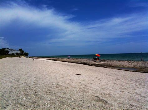 Venice Beach Florida | Venice beach florida, Florida beaches, Beach