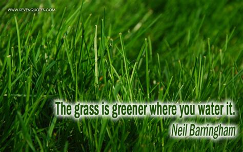 Grass Is Greener Quotes. QuotesGram