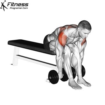 Dumbbell Seated Bent Over Rear Delt Row » Workout Planner