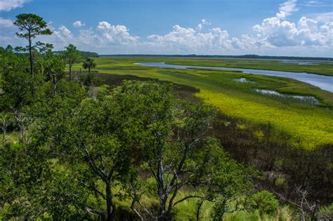 GTM Research Reserve Trail System to South Point and Shell Point and Guana River WMA Trail ...