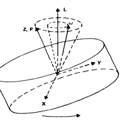 1(a) Nutation Motion (z ˆ is a geometric axis) (b) Nutation Angle [11 ...