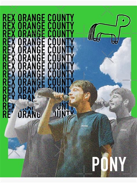 Rex Orange County Posters - Rex Orange County Who Cares? album Poster ...