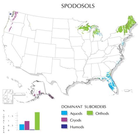 Spodosols | Natural Resources Conservation Service