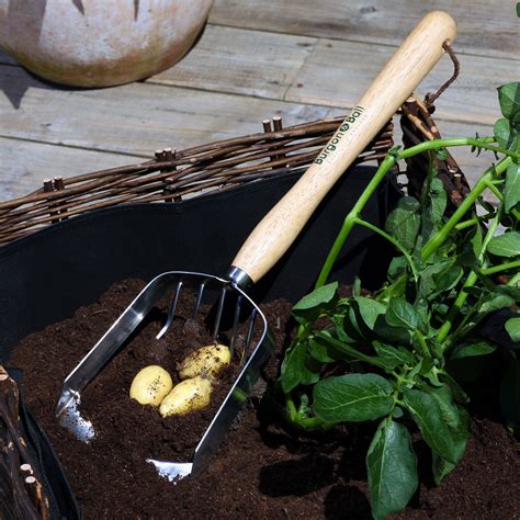 Potato Harvesting Scoop - RHS Endorsed | Burgon & Ball – Burgon and Ball