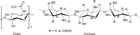 Chitosan Chemical Structure [6,8] | Download Scientific Diagram