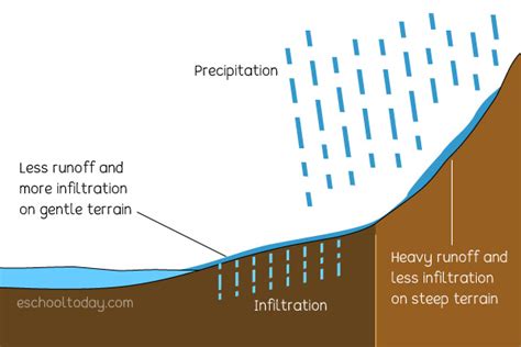 What does Runoff mean in the Water Cycle? – Eschooltoday